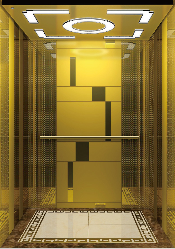 Good Quality Passenger Elevator with Competitive Price Machine-Room-Less Low Noise