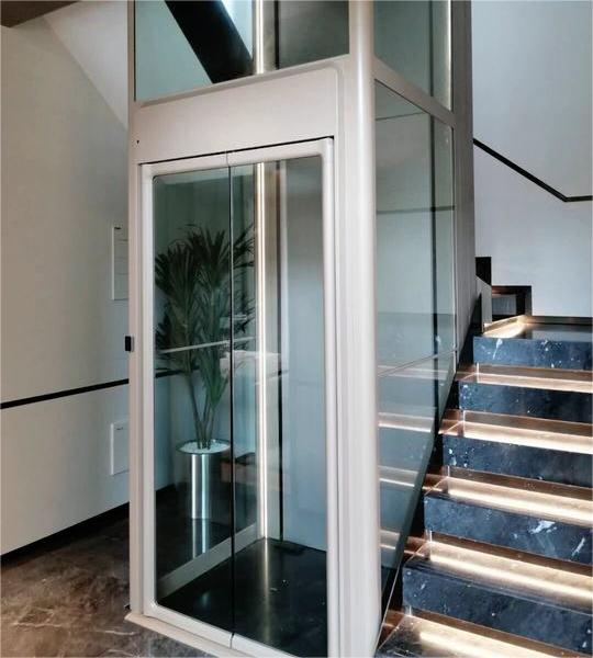 Residential Hoistway Vertical Home Platform Stair Lifts Elevator Price Cheap Home Elevator for Passenger