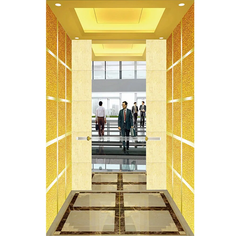 Vvvf Machine Room Home Passenger Residential Elevator