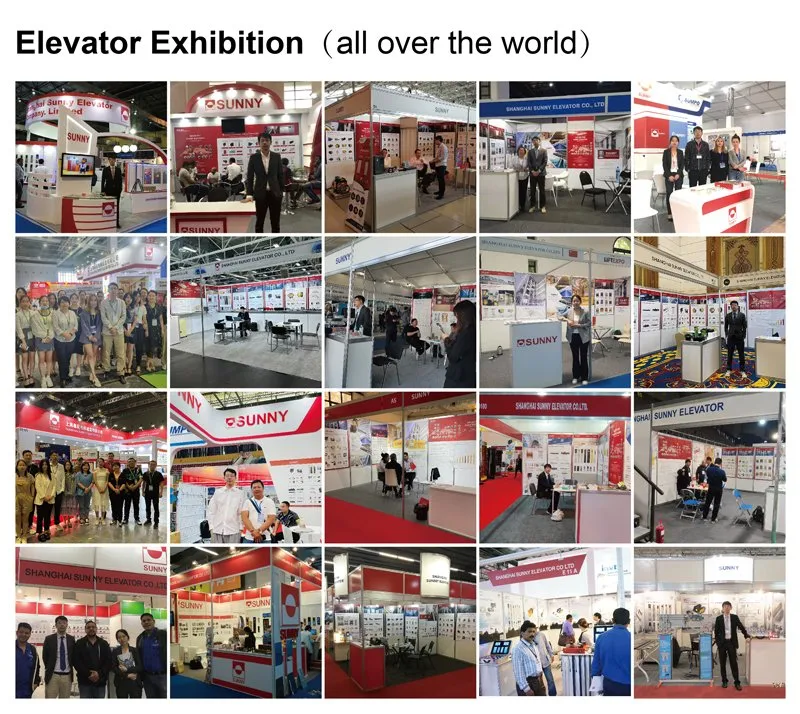 Professional manufacturer info