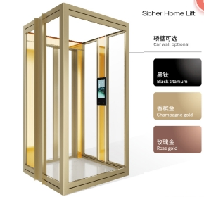 Mini Home Platform Stair Lift 2-4 Persons Home Villa Passenger Elevator 450kg Applicable Self Built House