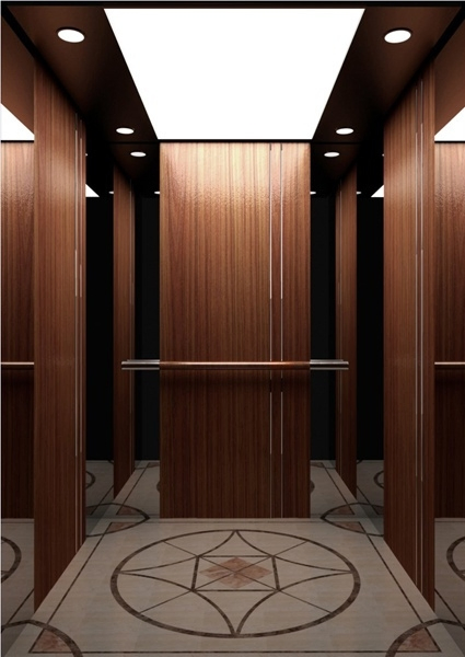 Customized Home Lift Elevator Hospital Lift Passenger Elevator
