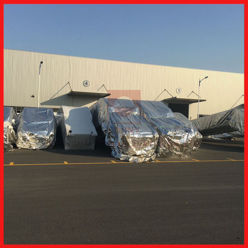 Ce Airport Sately with Vvvf Moving Walk