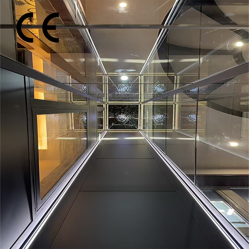 High-End, High-Grade Indoor 2-Story Traction Backpack Elevator Next to The Stairs