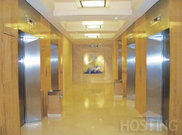Residential Elevator Cheap Lift Household Elevator for Home