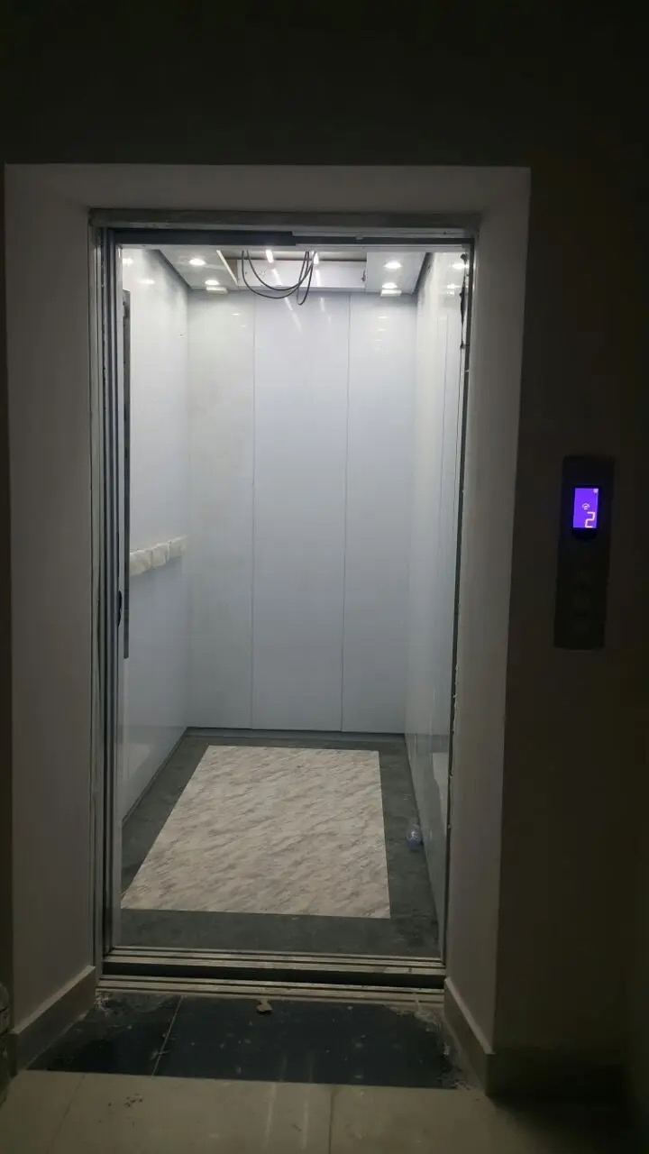Commerical Type for Hospital Passenger Elevator for Residence, School, Hotel, House