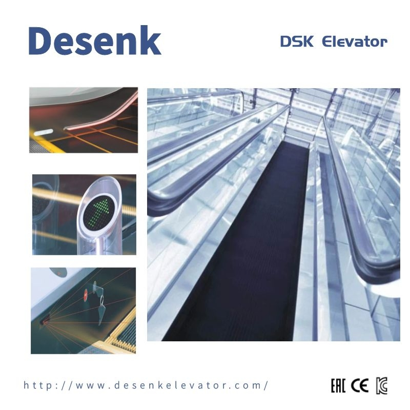 DSK Outdoor Escalator Factory Sidewalk Electric Escalator For Shopping Mall Conveyor