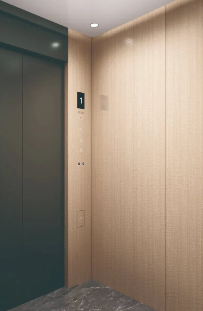 FUJI Home Elevator Hospital Lift Passenger Elevator for Sale No Noisy