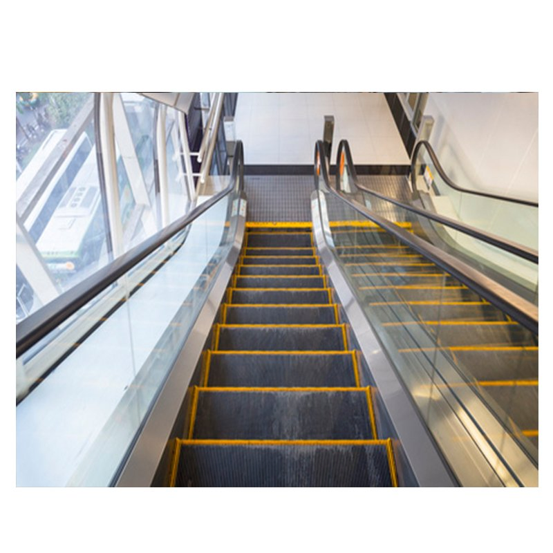 New Design Electrical High Speed Sidewalk Moving Walks Ecalatoer