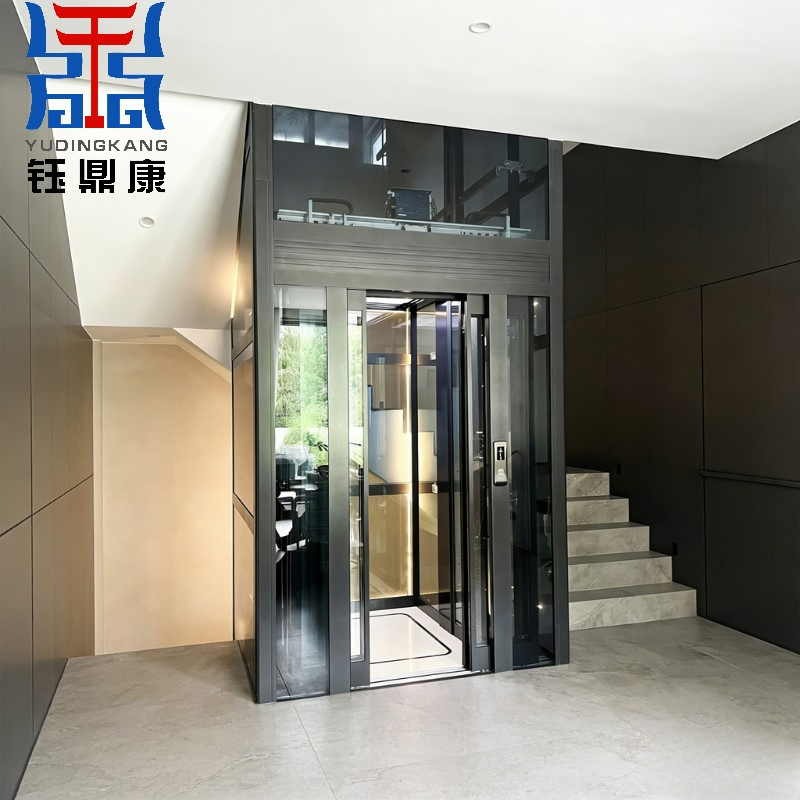 Factory Price High-Traction Lift Large Capacity 0.4m/S Indoor Passenger Elevators for Villas Apartments Hotels Stair Lift Safety