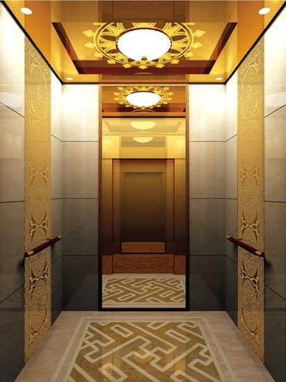 Customized Home Lift Elevator Hospital Lift Passenger Elevator