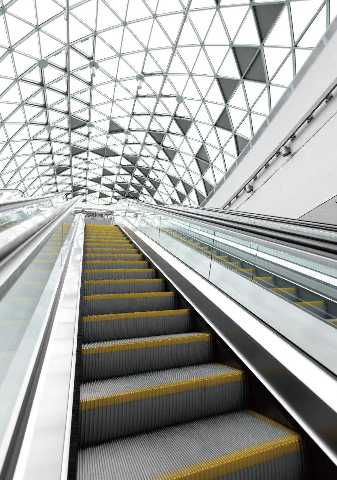 Shopping Cart Escalator Manufacturers OEM ODM for World Famous Brands