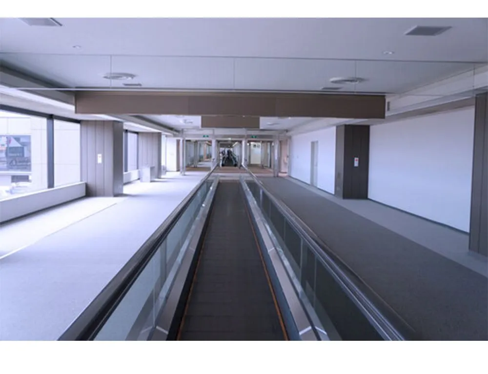 Supermarket Escalator Moving Walks