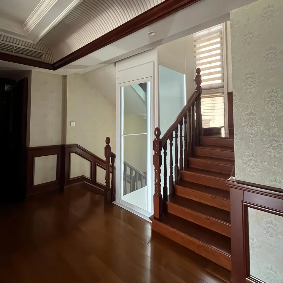 Indoor Traction Backpack Elevator