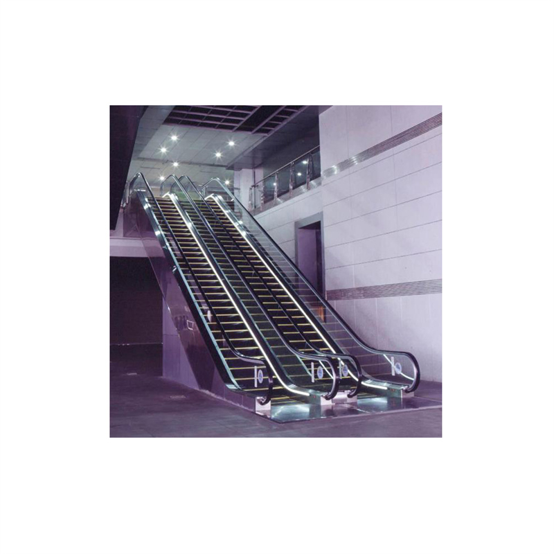 FUJI 30 Angle Shopping Cart Escalator Escalator Elevator for Supermarket Equipment