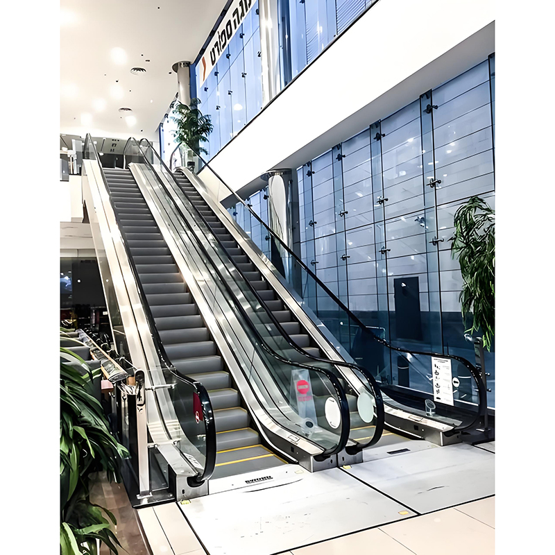 Indoor Use 30°/35° Degree Stainless Steel Escalator with CE Certification Vvvf Moving Walk