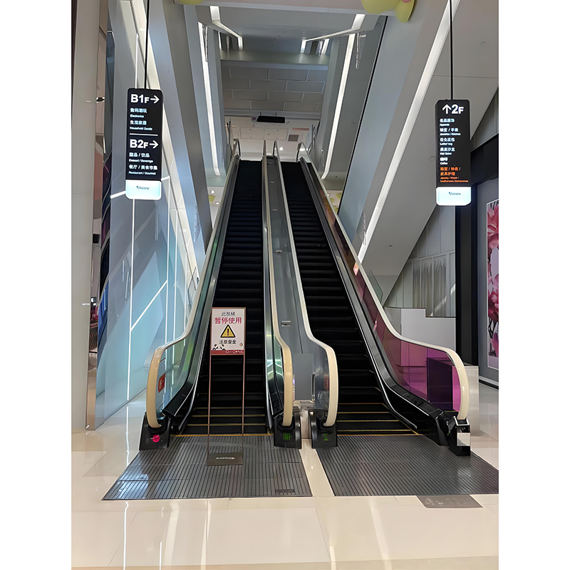 Indoor Use 30°/35° Degree Stainless Steel Escalator with CE Certification Vvvf Moving Walk