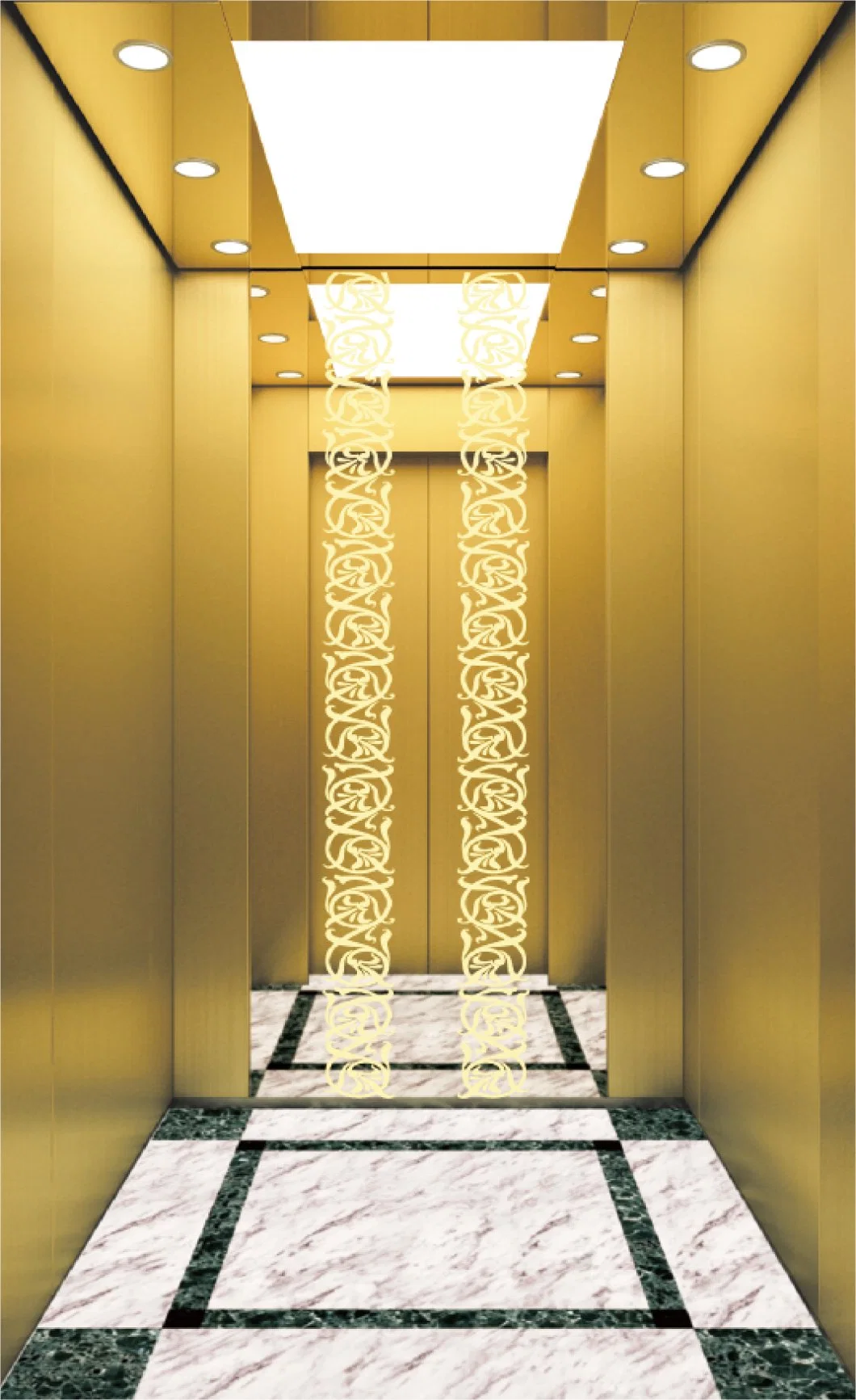 Passenger Elevator Villa Home Use FUJI China Factory Gearless Vvvf Control Elevator Panoramic Elevator