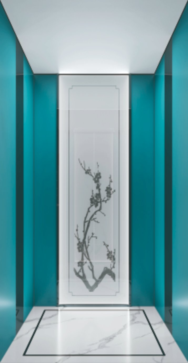 FUJI Home Elevator Hospital Lift Passenger Elevator for Sale No Noisy