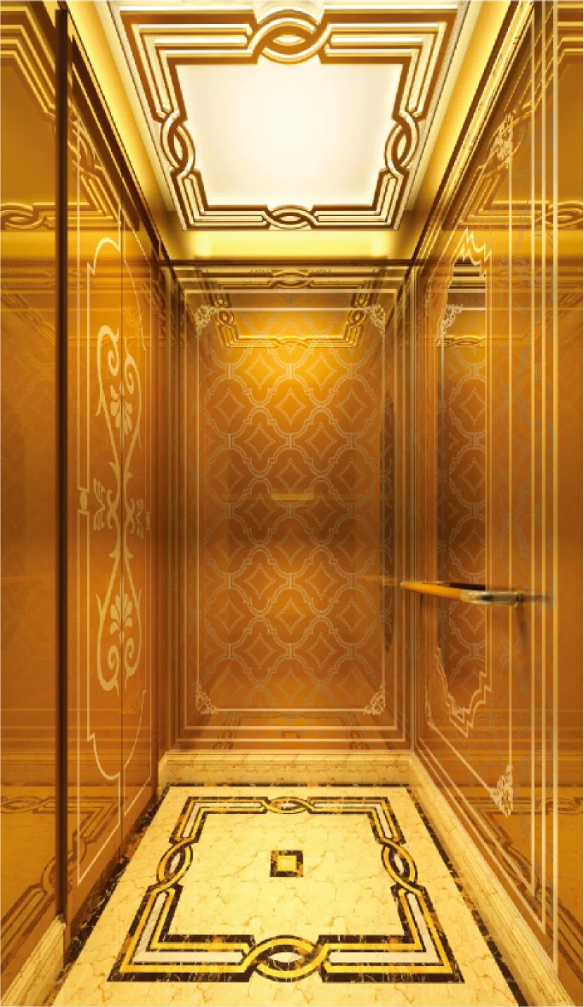 Passenger Elevator Villa Home Use FUJI China Factory Gearless Vvvf Control Elevator Panoramic Elevator