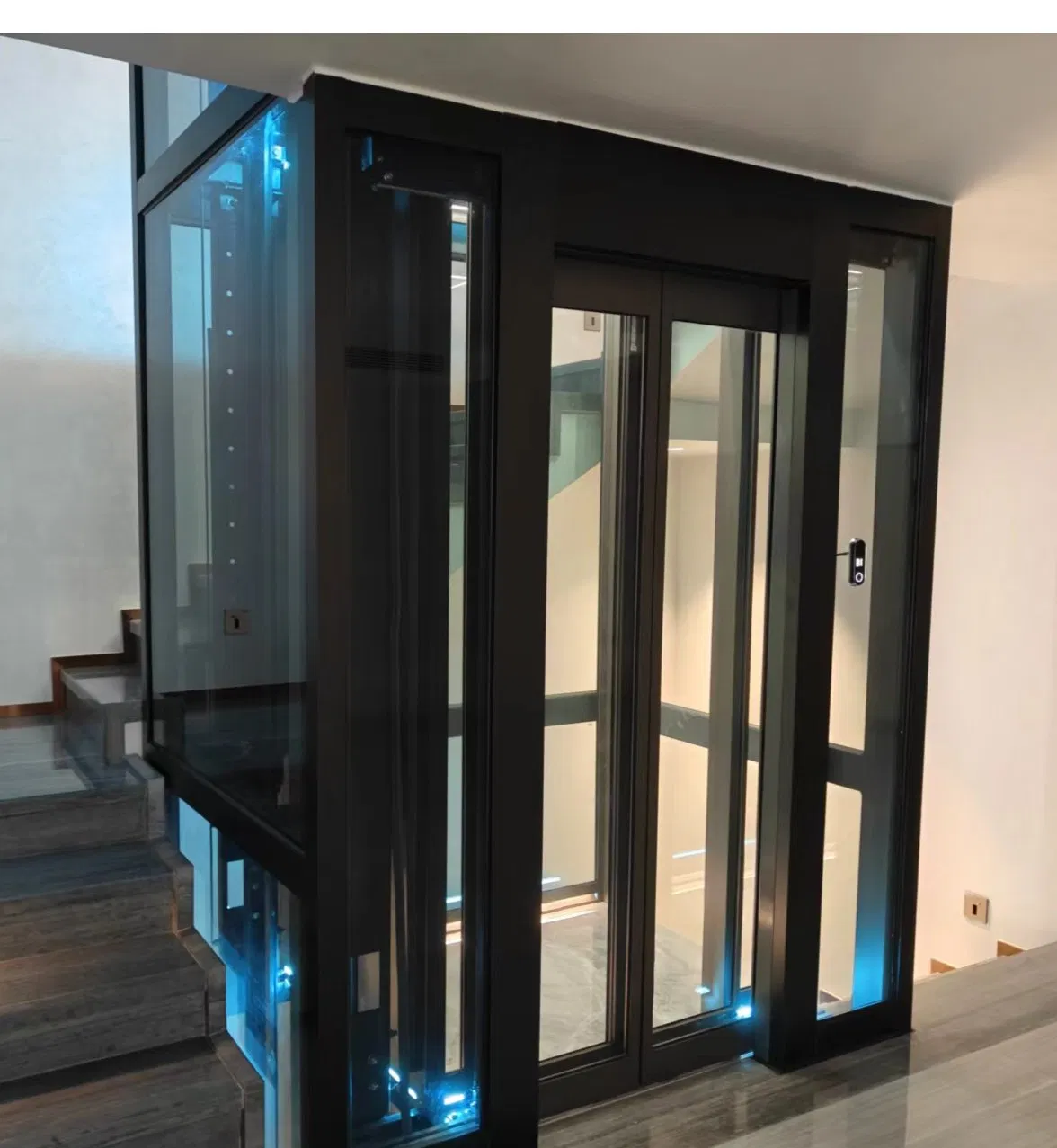 Villa Elevator Design