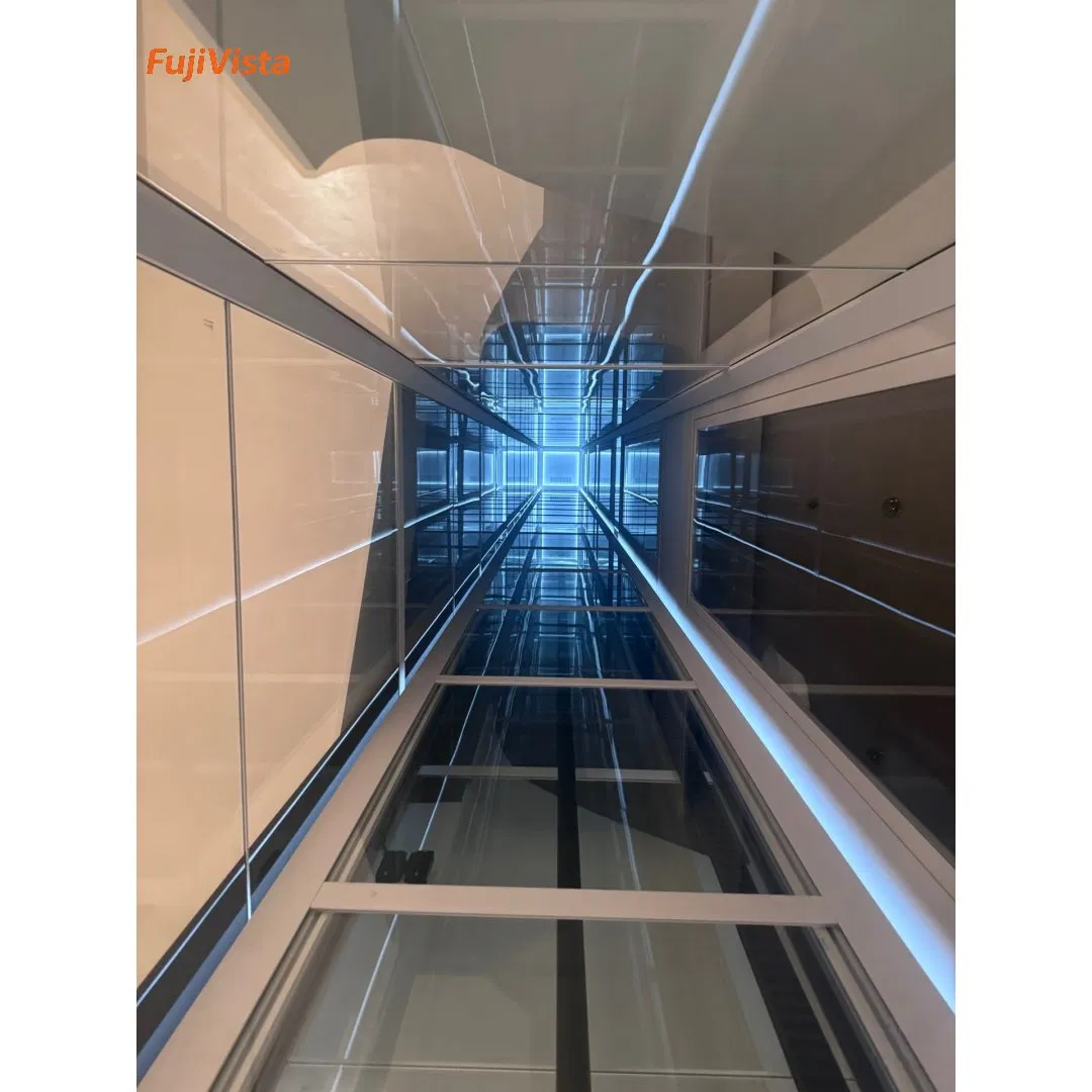Fujivista Domestic Lifts Mrl Home Elevator Small Glass Villa Lift with Smart Gearless Traction System, 3-5 Persons Residential Panoramic Elevator, Elevador Resi