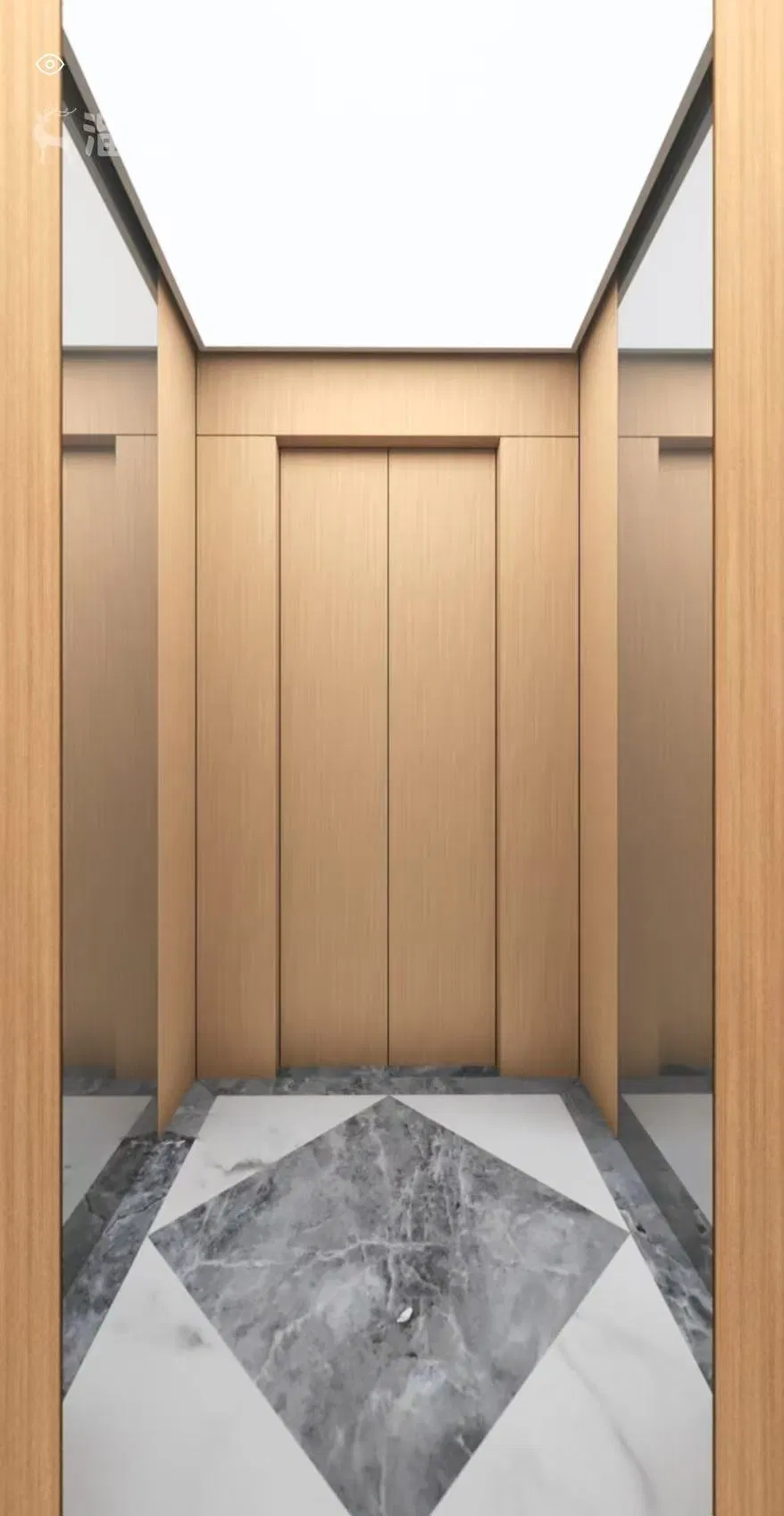 Asia FUJI CE Certified Elevator Stainless Steel Passenger Elevator