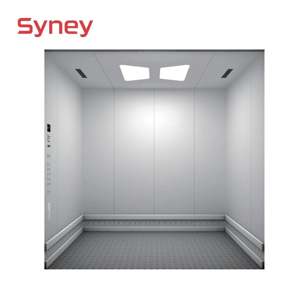 China Passenger Panoramic Glass Residential Villa Home Hospital Cargo Auto Car Service Freight Goods Elevator Lift