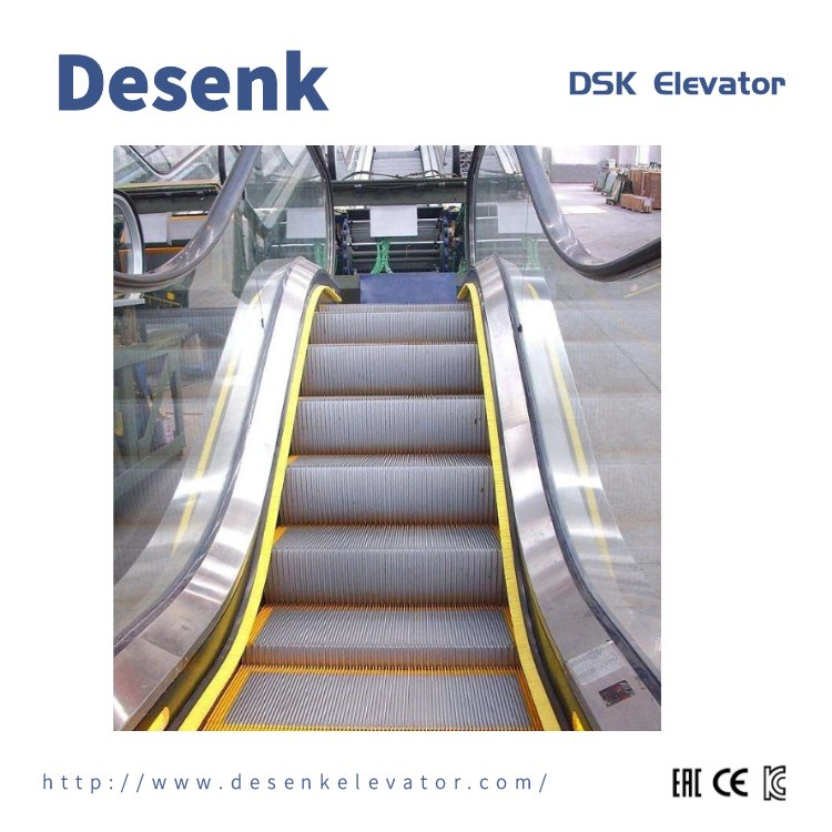 Desenk Escalator Shopping Mall Escalator Durable Indoor Escalator Outdoor Passenger Escalator with Cheap Price