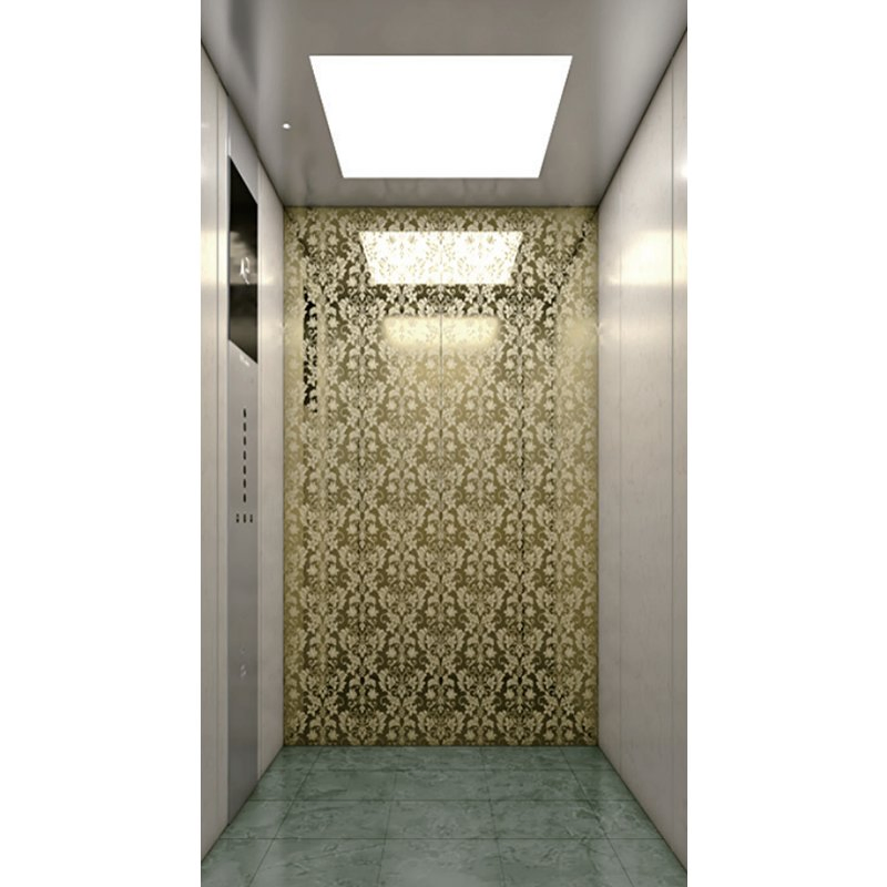 Shock-Absorbing Home Elevator, Smooth Start-Stop