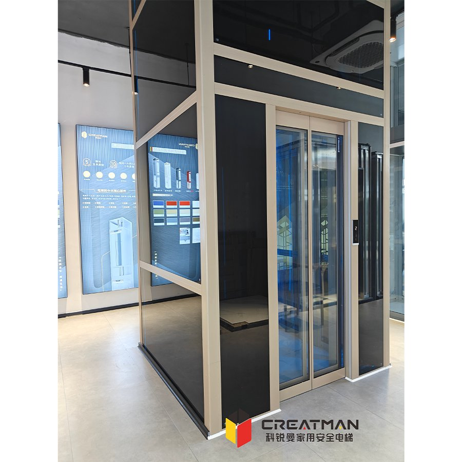 Professional Team's Exclusive Customization Clear View Sightseeing Intelligent Protection Home Villa Elevator Stair Lift
