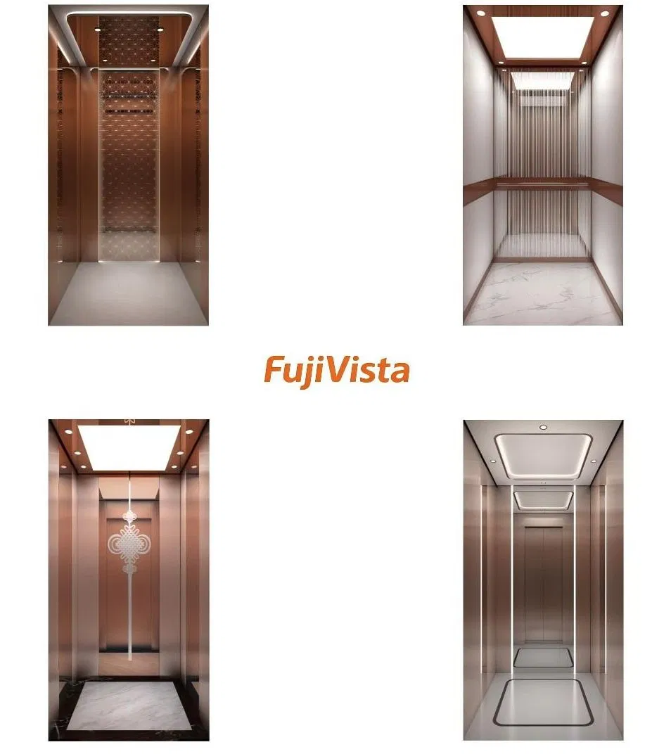 Fujivista Domestic Lifts Mrl Home Elevator Smart Control Passenger Lift with Luxury Rose Gold Etched Car for Residential Villa