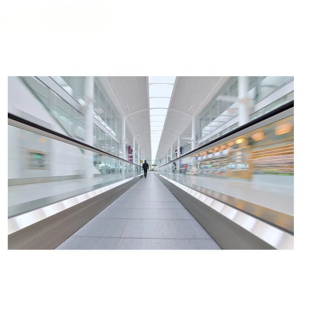 Indoor and Outdoor Escalators Moving Walk for Shopping Mall