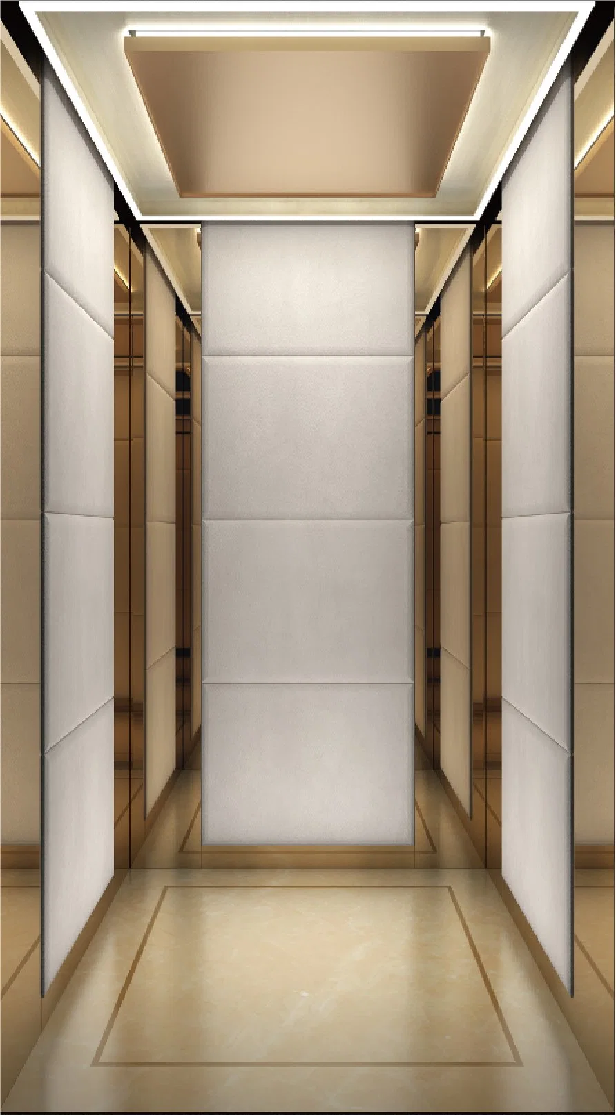 Passenger Elevator Villa Home Use FUJI China Factory Gearless Vvvf Control Elevator Panoramic Elevator