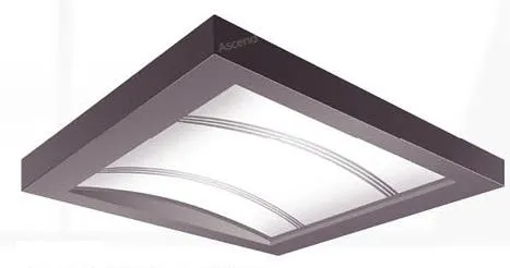 Elevator Ceiling Design