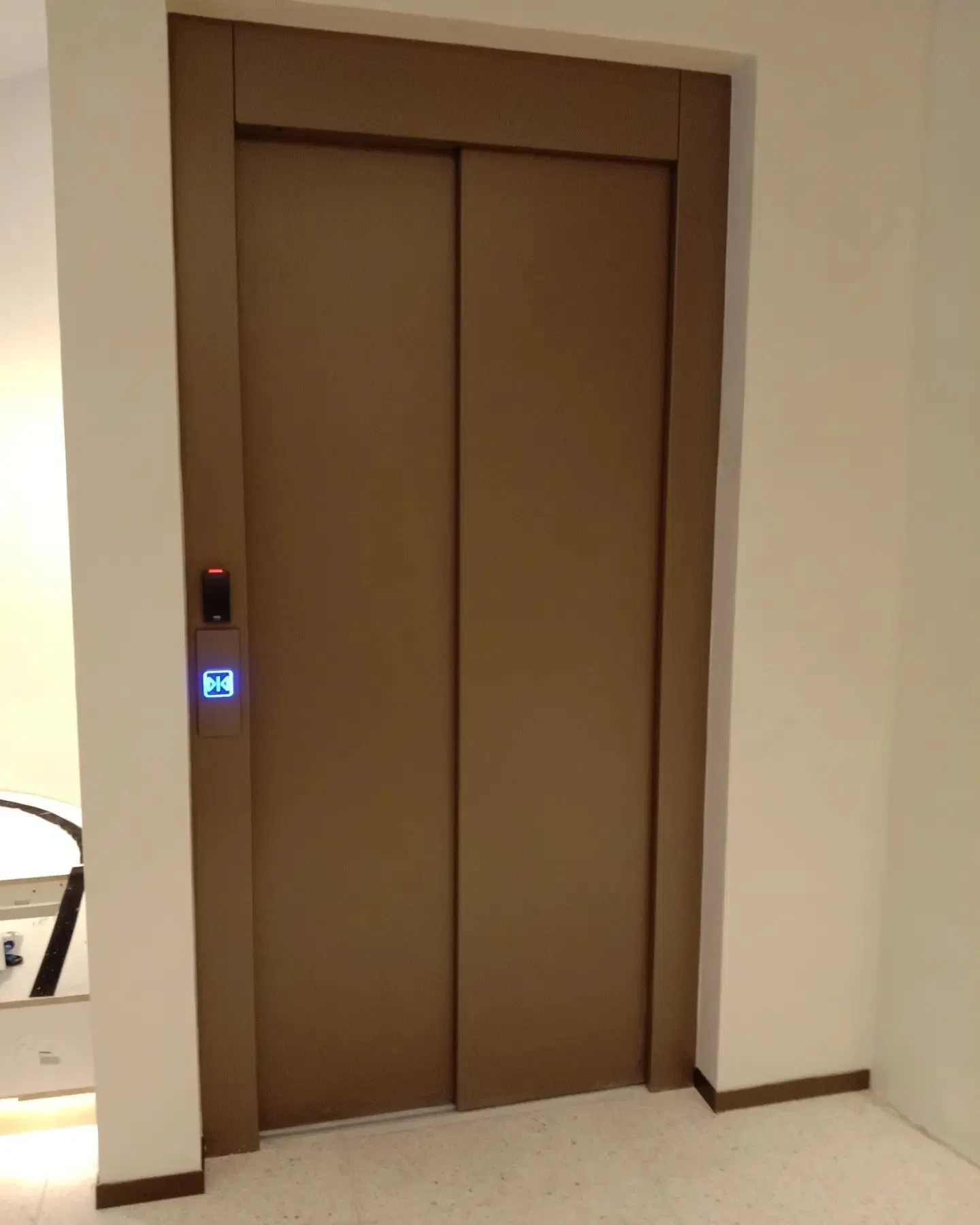 Large Space Comfortable Silent Stainless 1600kg 6 Person Passenger Lift Elevator