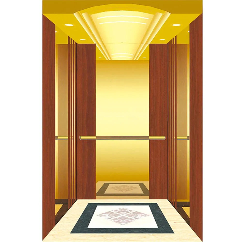 Vvvf Machine Room Home Passenger Residential Elevator