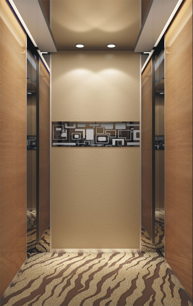 Factory Customizable Passenger Home Lift Elevator Lift Price Round Home Passenger Elevator Stair Lift Without Machine Roomless China Wholesale