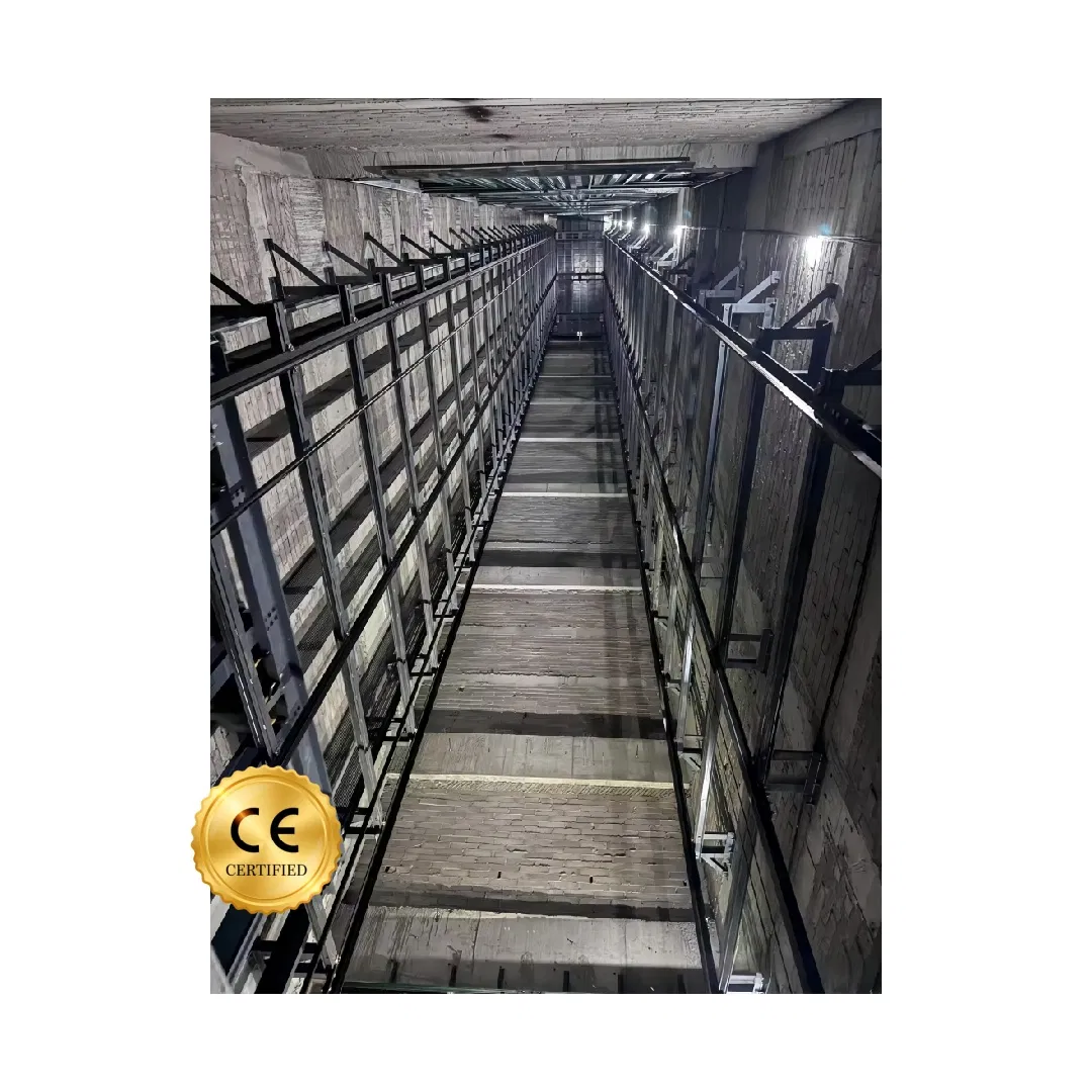 Fujivista CE Certificate Small Goods Elevator Dumbwaiter Lift for Commercial Building