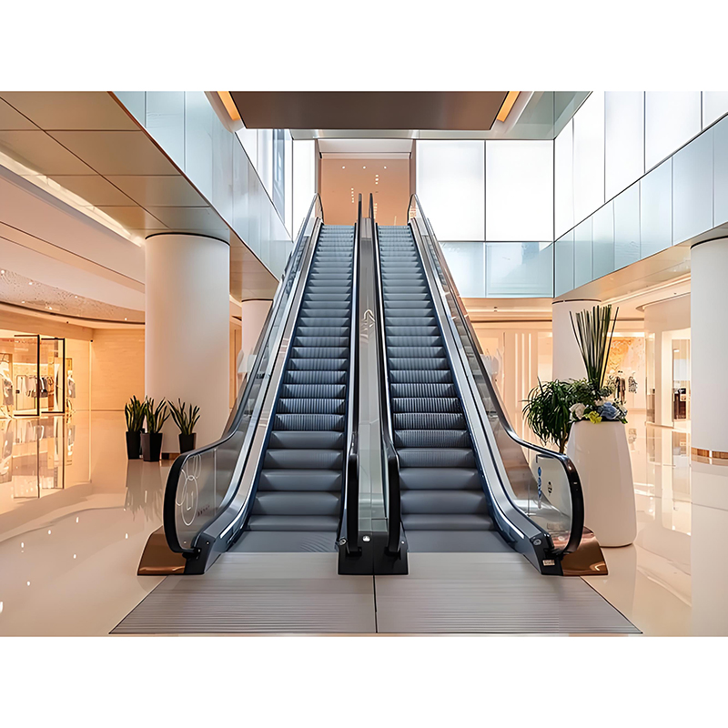 Indoor Use 30°/35° Degree Stainless Steel Escalator with CE Certification Vvvf Moving Walk
