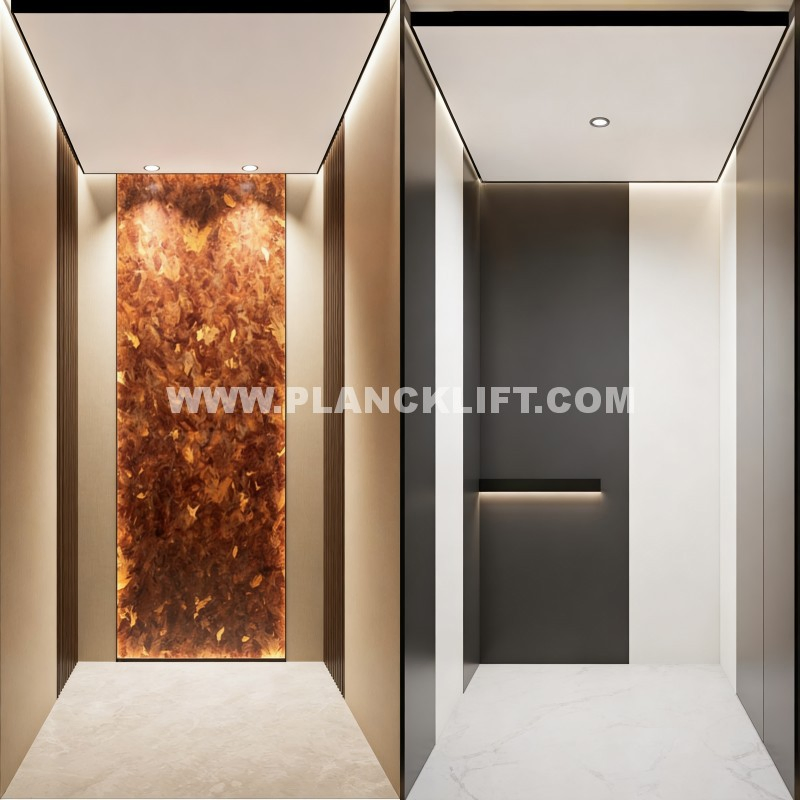 Luxurious Home Elevator Lift for Modern Villa and Office Use