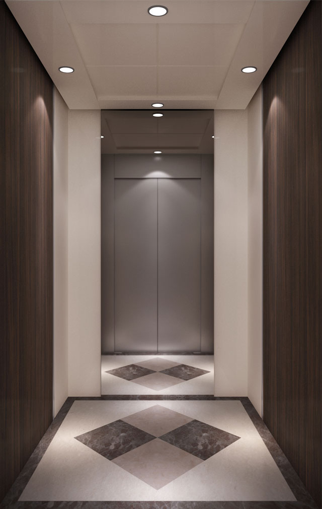 Factory Customizable Passenger Home Lift Elevator Lift Price Round Home Passenger Elevator Stair Lift Without Machine Roomless China Wholesale