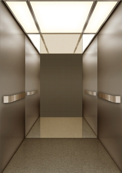 Customized Home Lift Elevator Hospital Lift Passenger Elevator