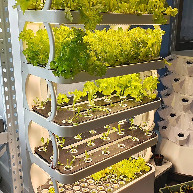 Indoor Office Nft Hydroponics Growing System for Fresh Daily Edible Greens