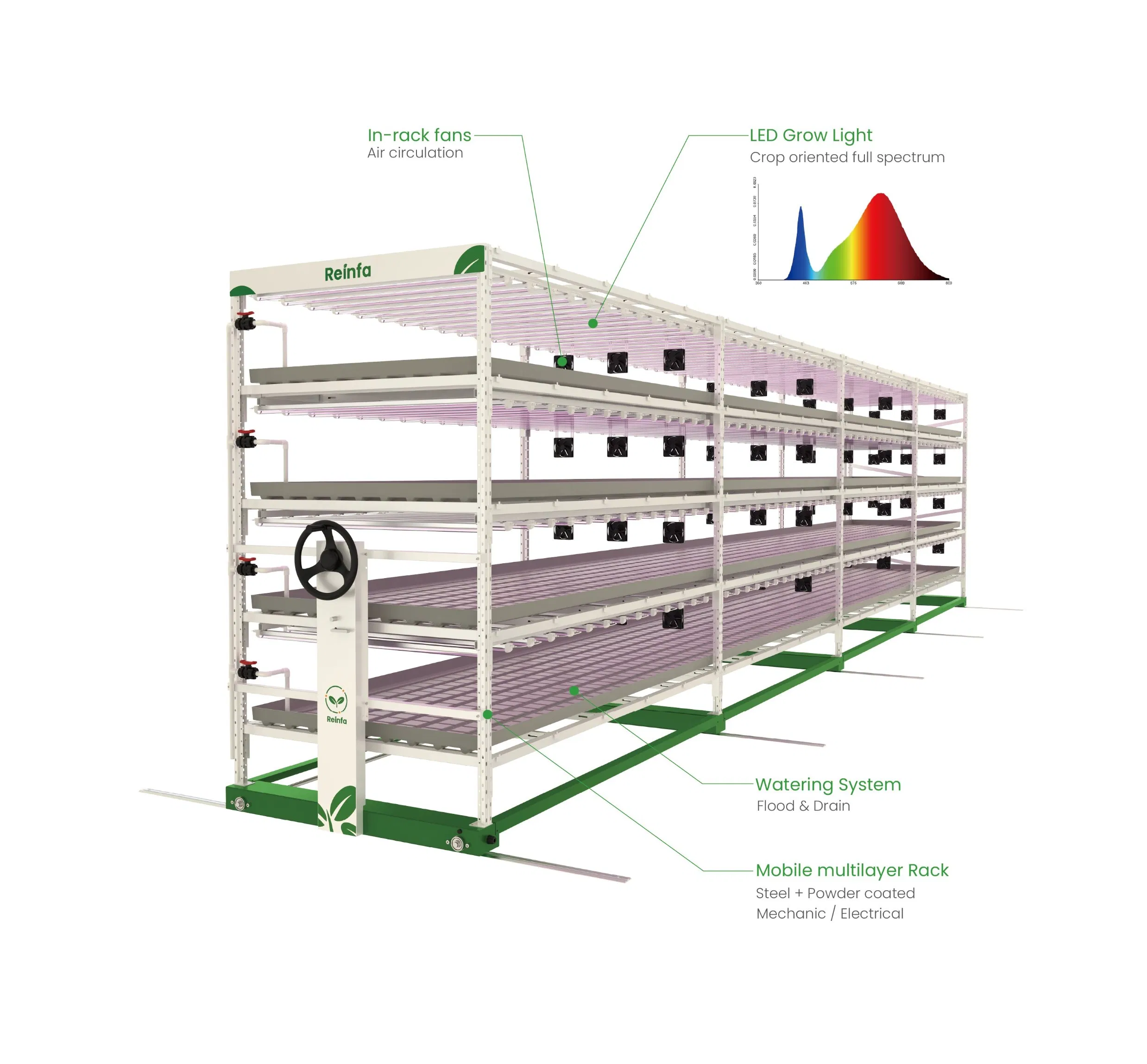 Reinfa Space-Saving Tidal Hydroponic System for Tomatoes Lettuce &amp; Herbal Plants