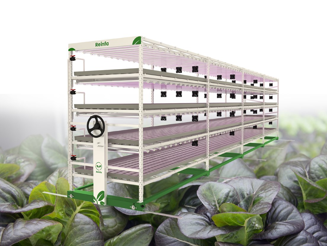 Reinfa Space-Saving Tidal Hydroponic System for Tomatoes Lettuce &amp; Herbal Plants
