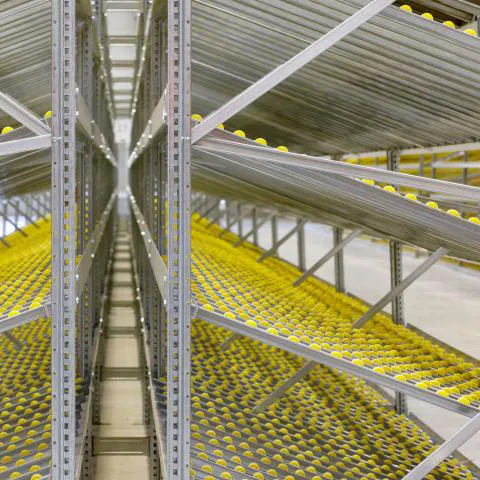 Carton Flow Shelving 2