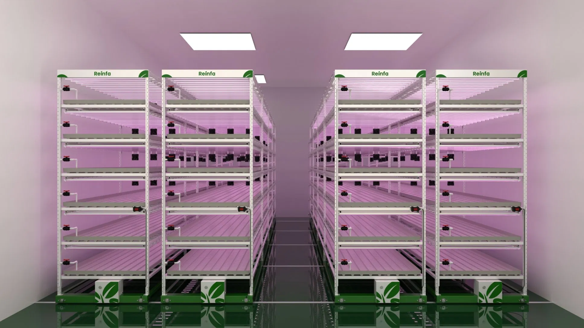 Reinfa Space-Saving Tidal Hydroponic System for Tomatoes Lettuce &amp; Herbal Plants