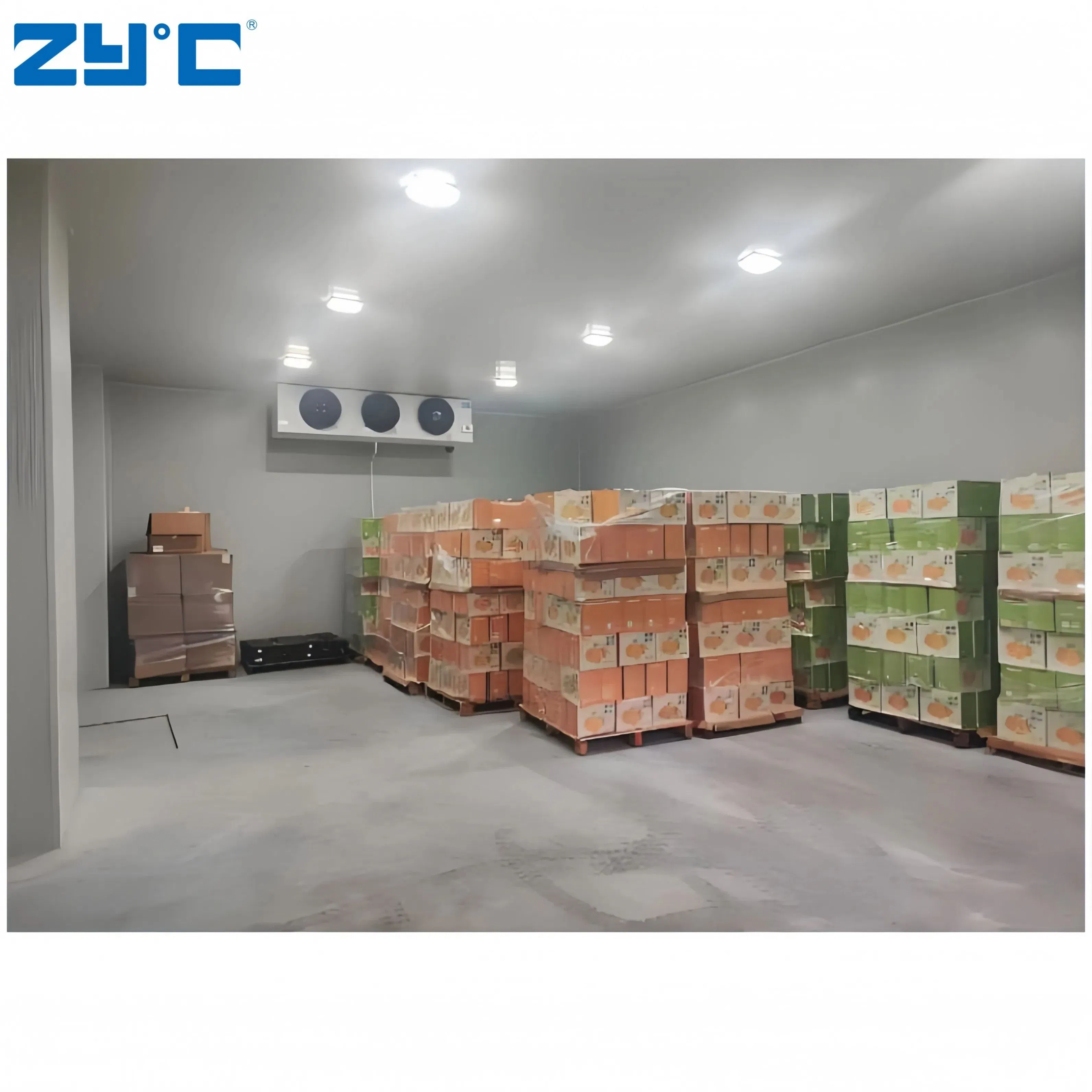 Earthquake Proof Secure Cold Storage with Unit Japan Standard for Safety Protection