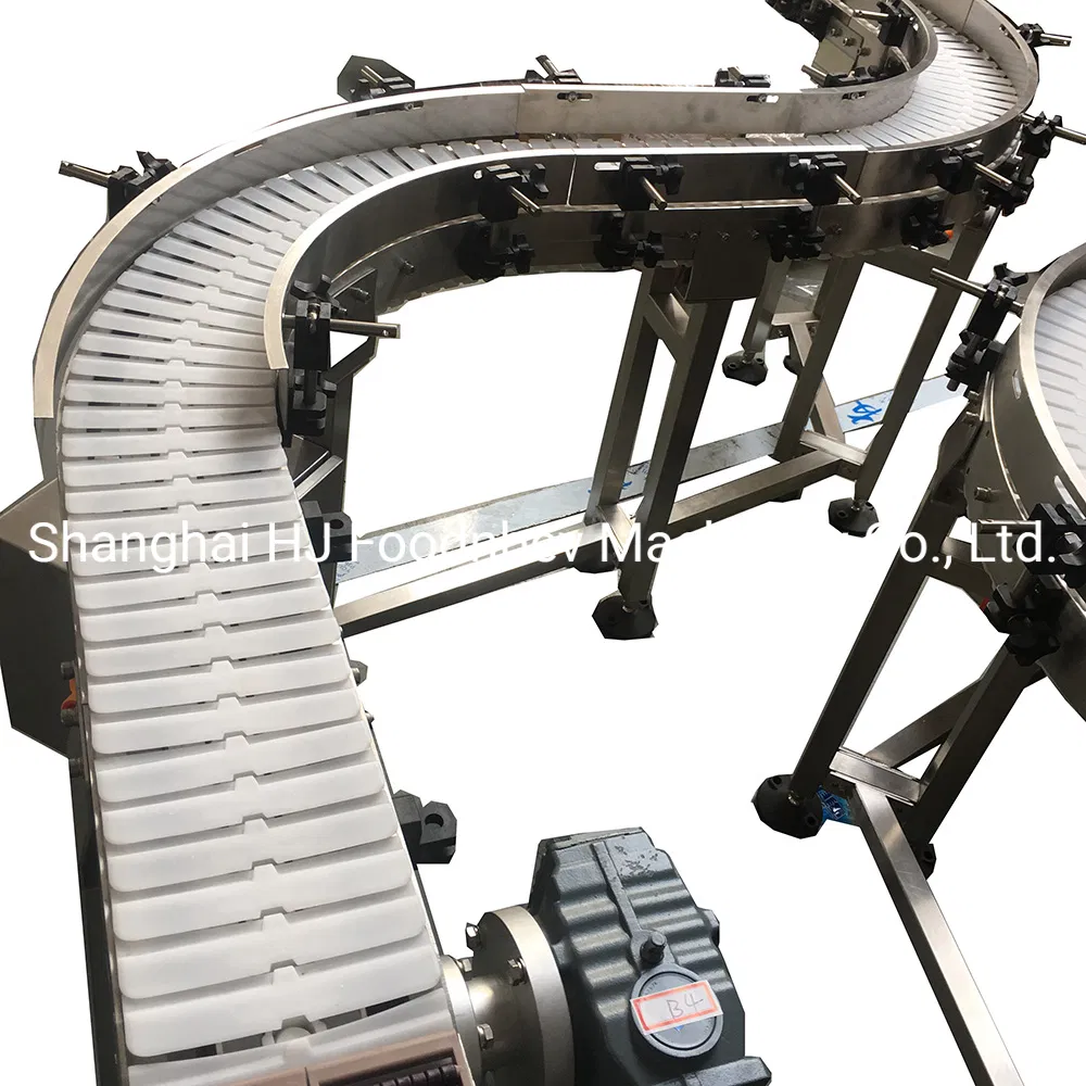 Flexible Keel Chain Conveyors, Plastic Flexible Chain Conveyor, Automatic Motorized Brick Pak Conveyor System